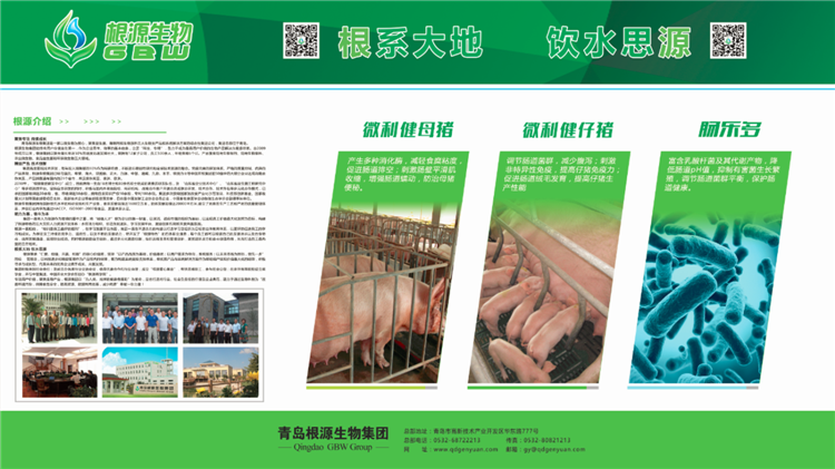 1489999288249294.png 微力健.png