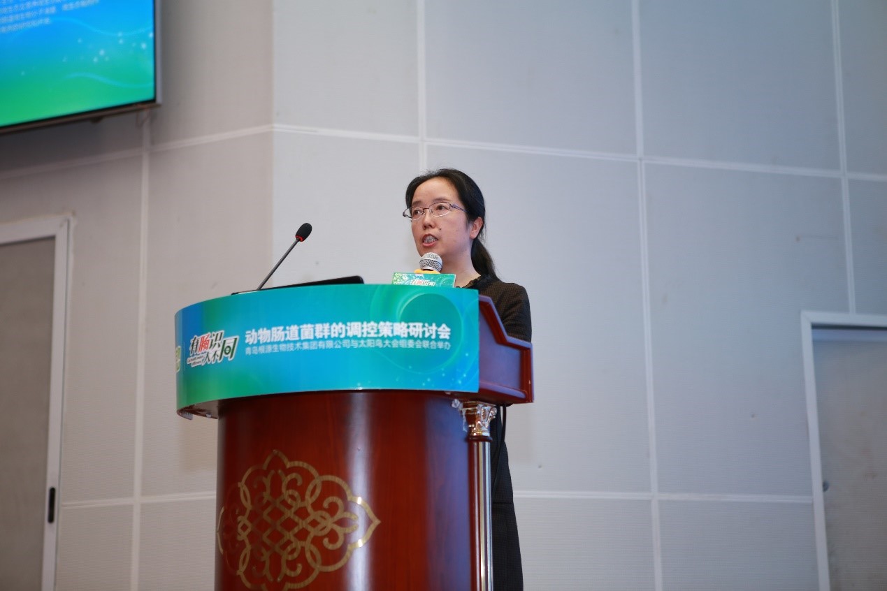 1524186908684606.jpg s.jpg