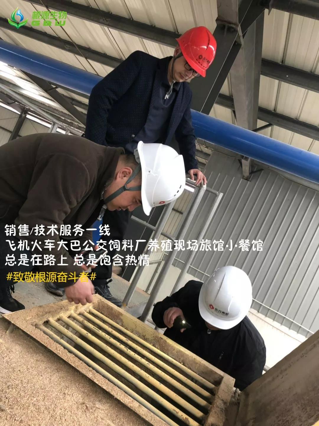 1562117914580455.jpg 2.jpg