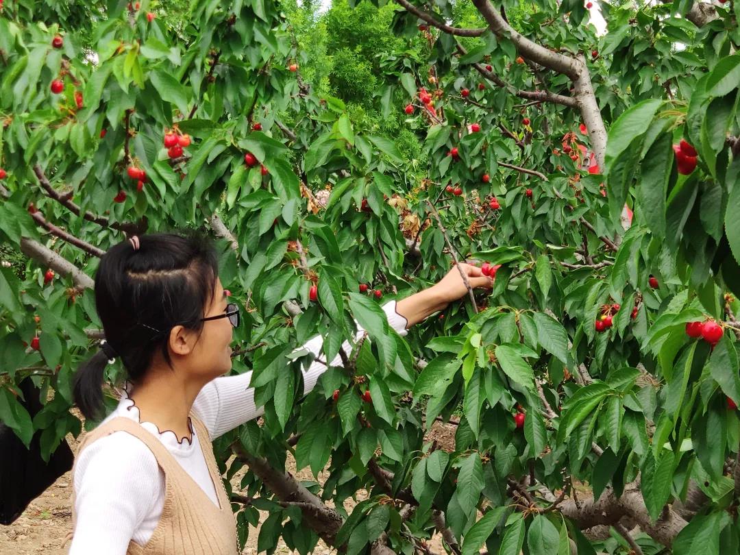 1562119716854358.jpg 5.jpg