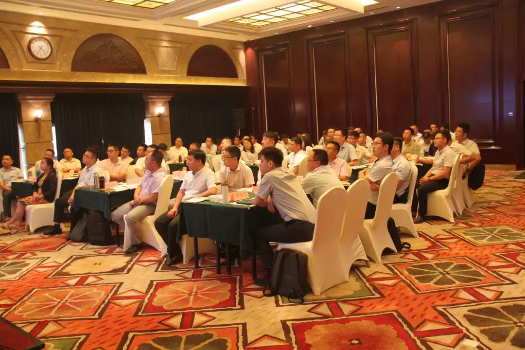 1564205991821890.jpg 2.jpg