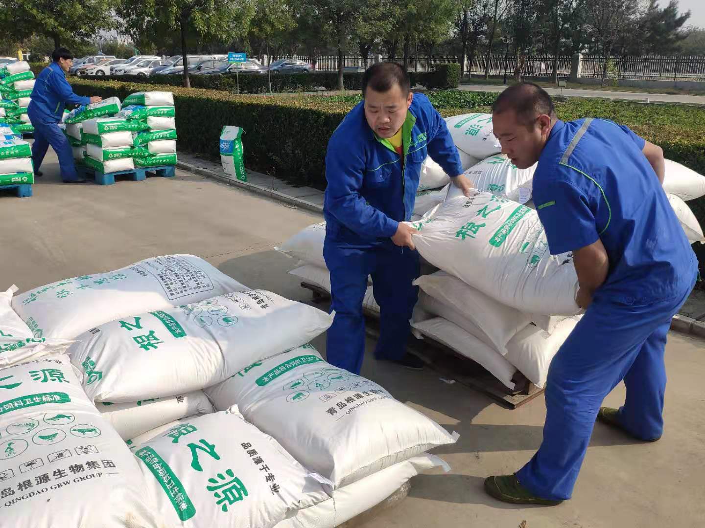 1572487069330784.jpg 微信圖片_2019102913143811.jpg