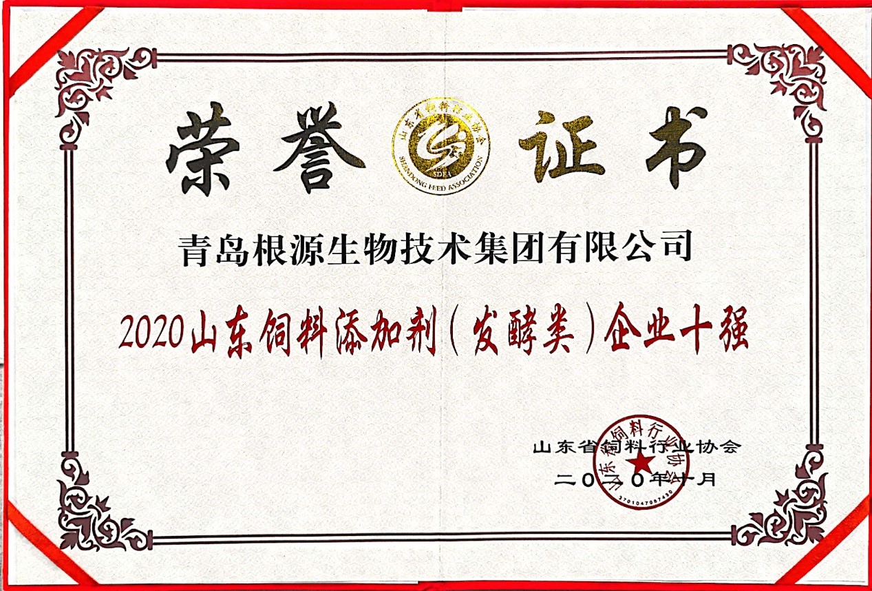 1606188966510879.jpg 4.jpg