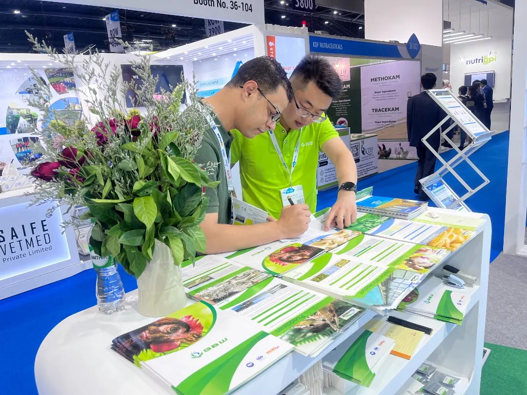 1678776017552175.jpg 12.jpg